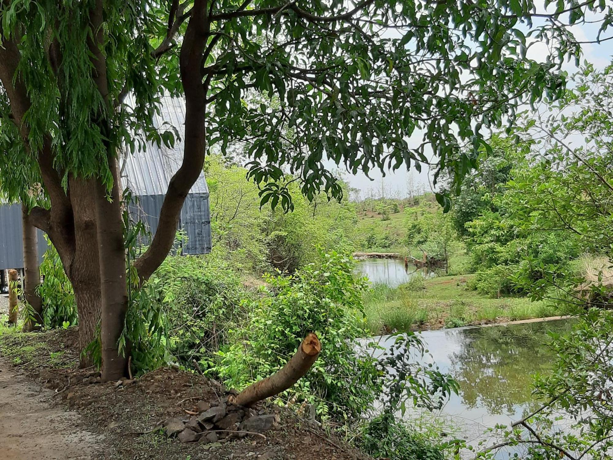 River Ranch Saralgaon Esterno foto